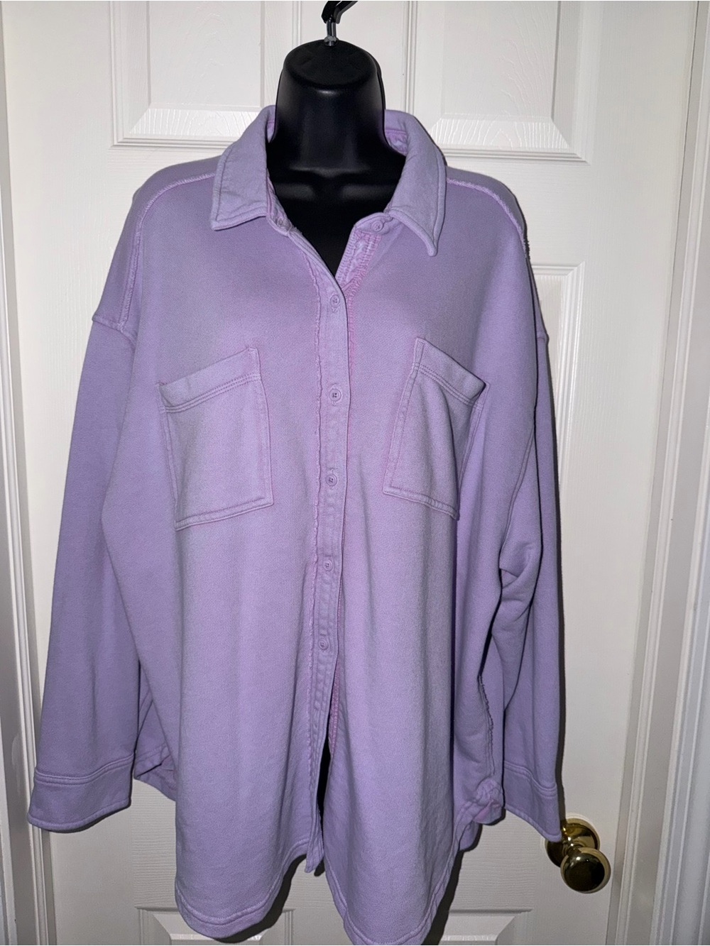 Aerie Lumberjane Purple Oversized Button Down Shirt